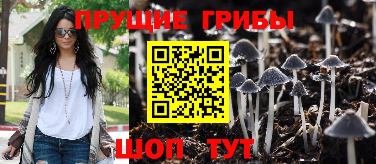 Галлюциногенные грибы прущие грибы  Псилоцибиновые грибы прущие грибы  Вход с VPN  Кудрово 