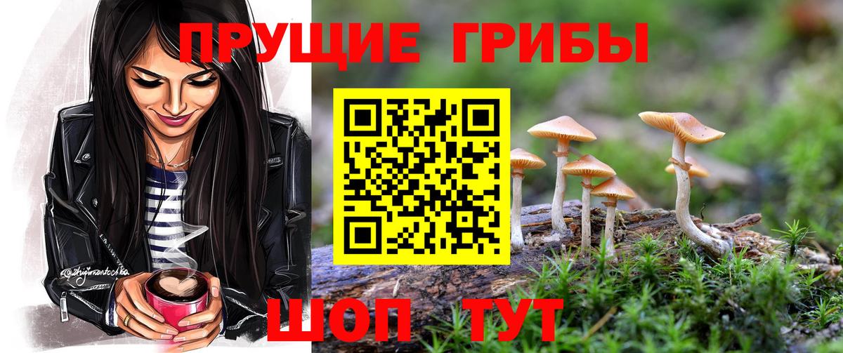 A-PVP Кудрово