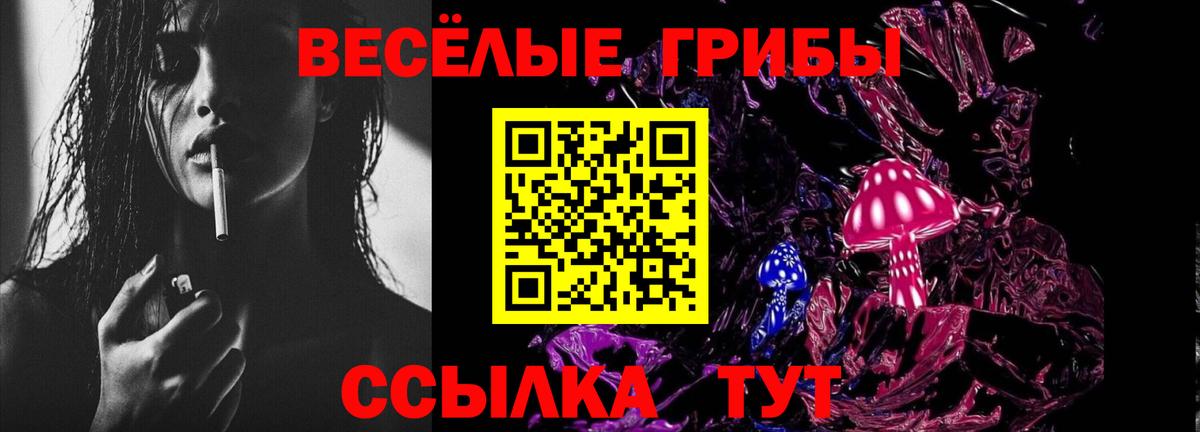 Псилоцибиновые грибы мицелий Кудрово